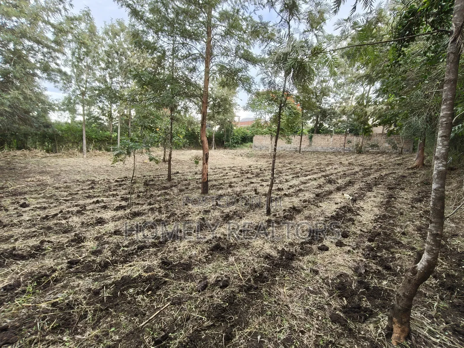 Large Residential Quarter Acre Plot In Ongata Rongai Kandisi in Kandisi