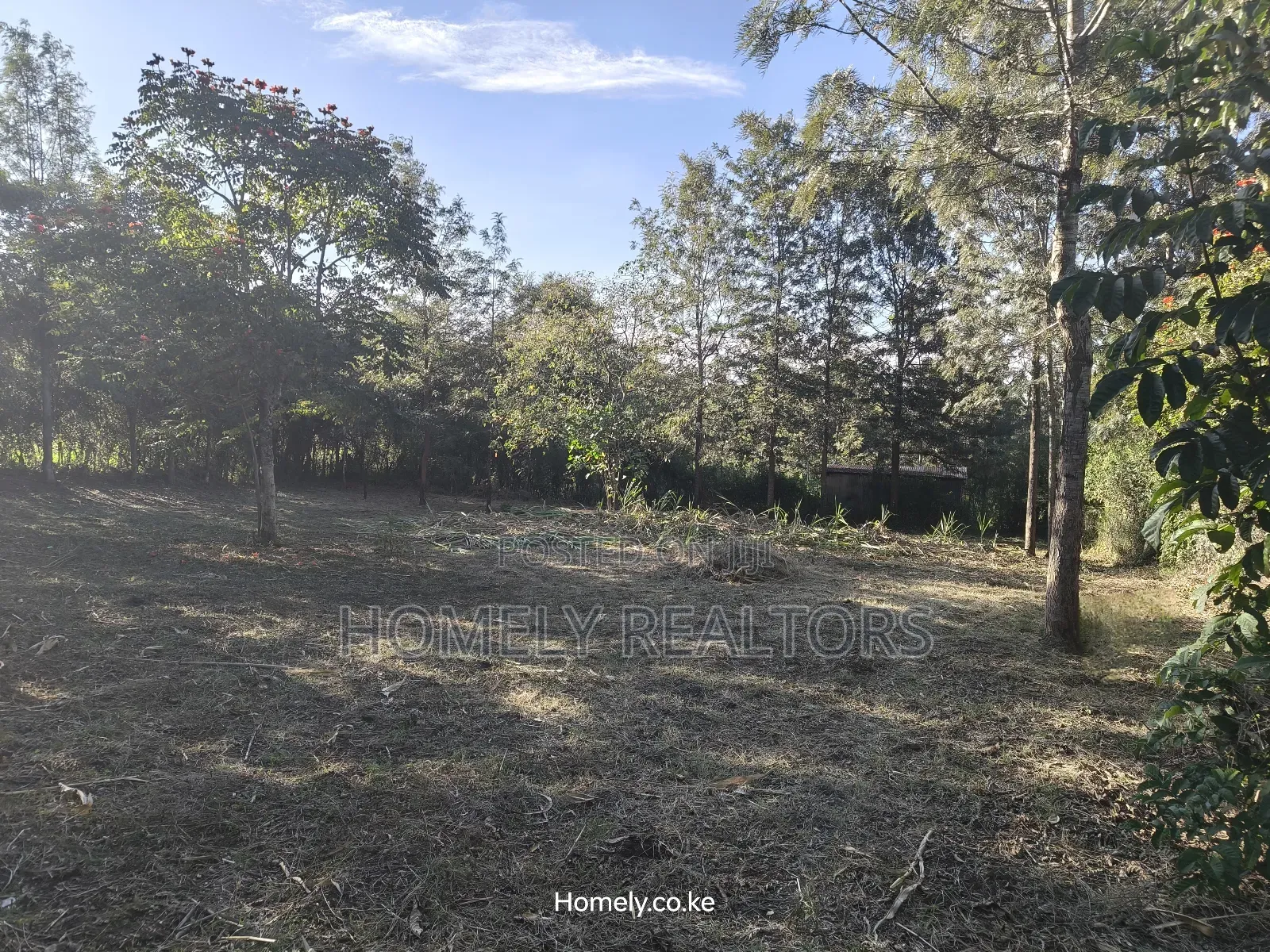 Large Residential Quarter Acre Plot In Ongata Rongai Kandisi in Kandisi