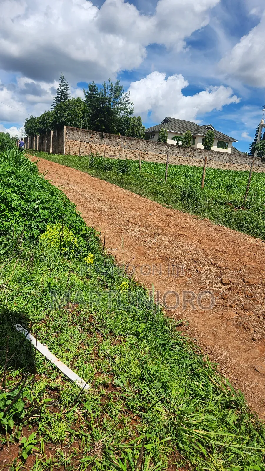 Damridge Edtate Ruiru in RedSoil Estate