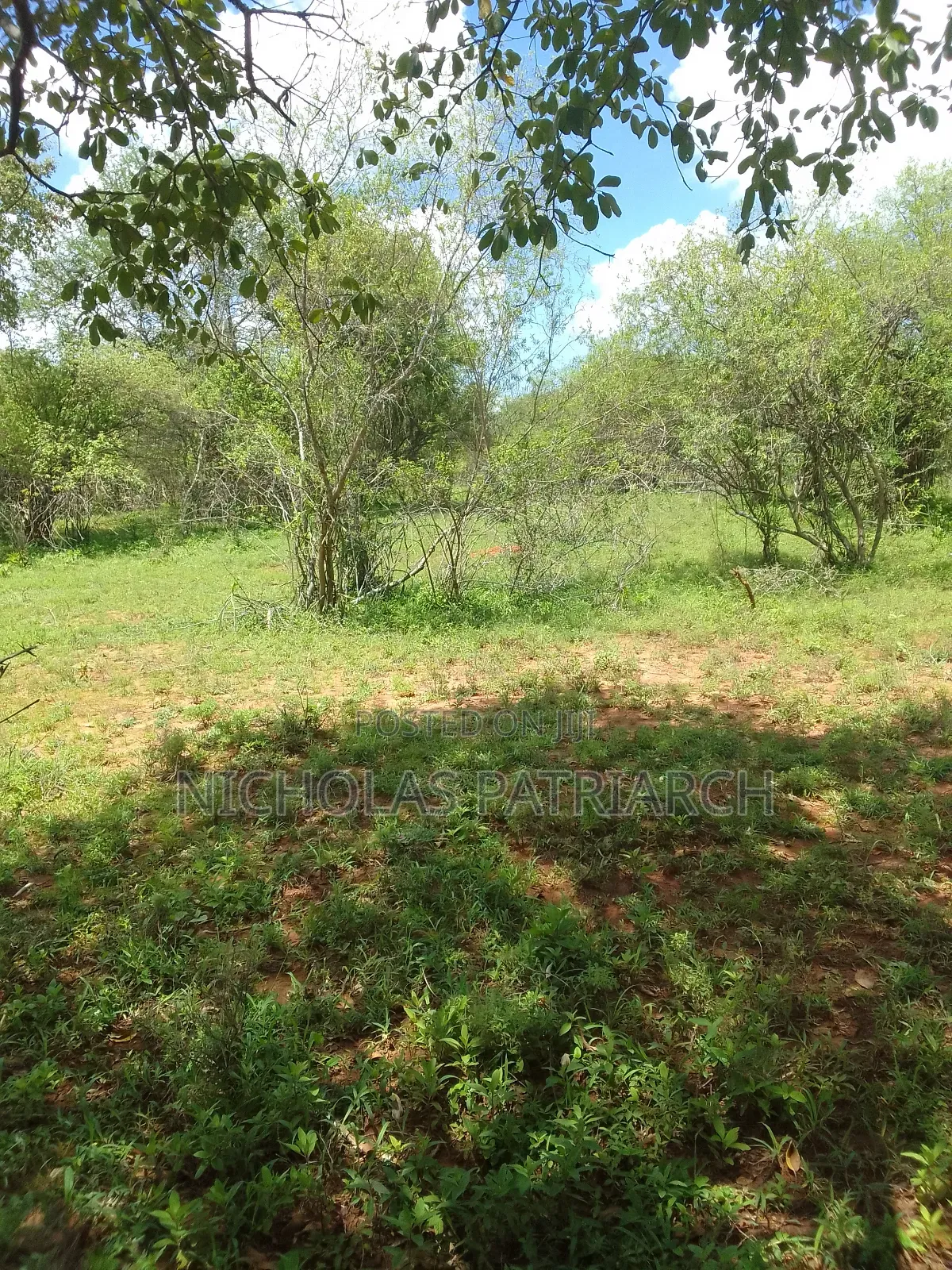 7 Acres Wamunyu-Miondoni Selling at Per Acre in Wamunyu