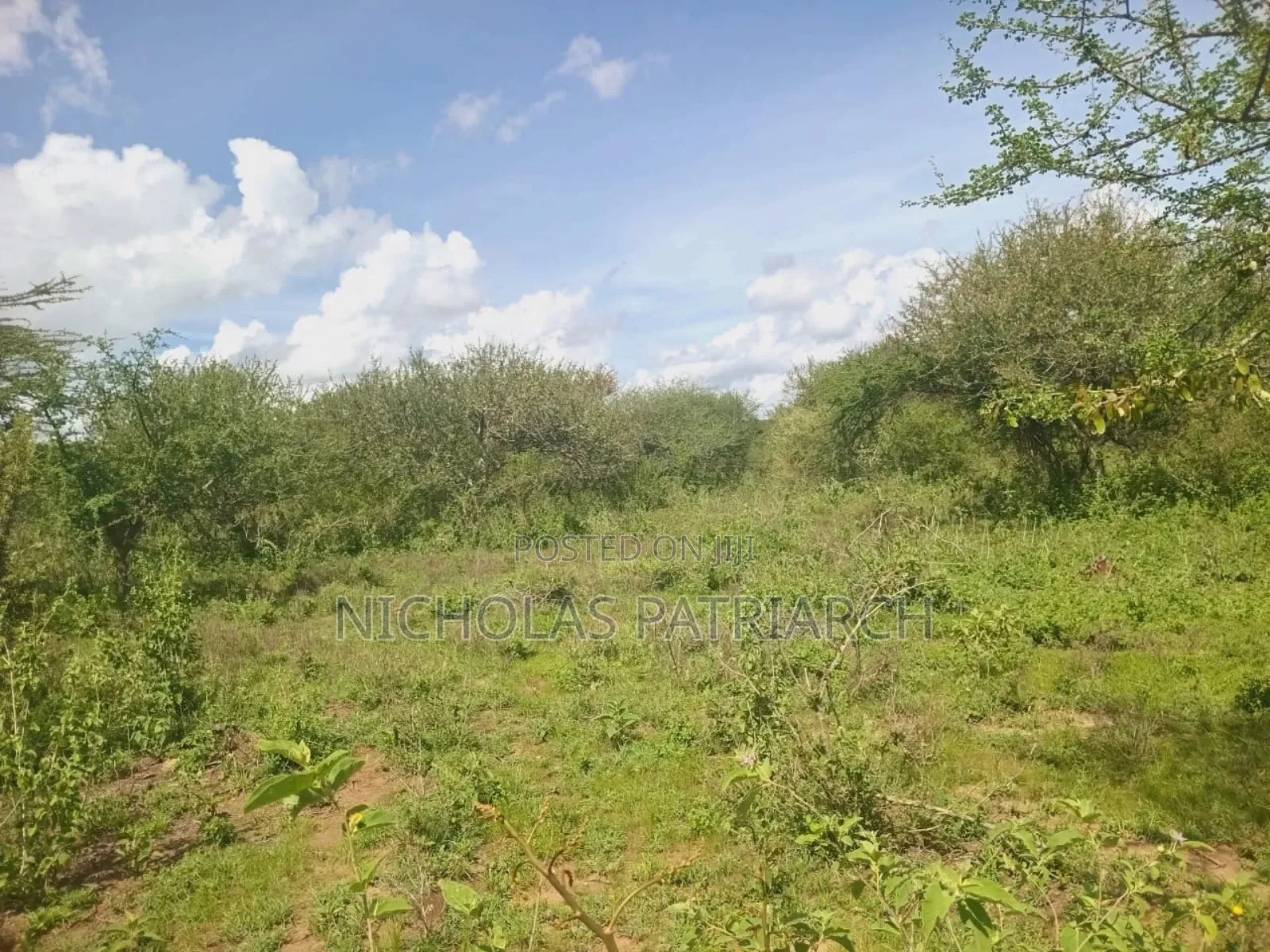 20 Acres Wamunyu-Lema Selling at .Per Acre in Wamunyu