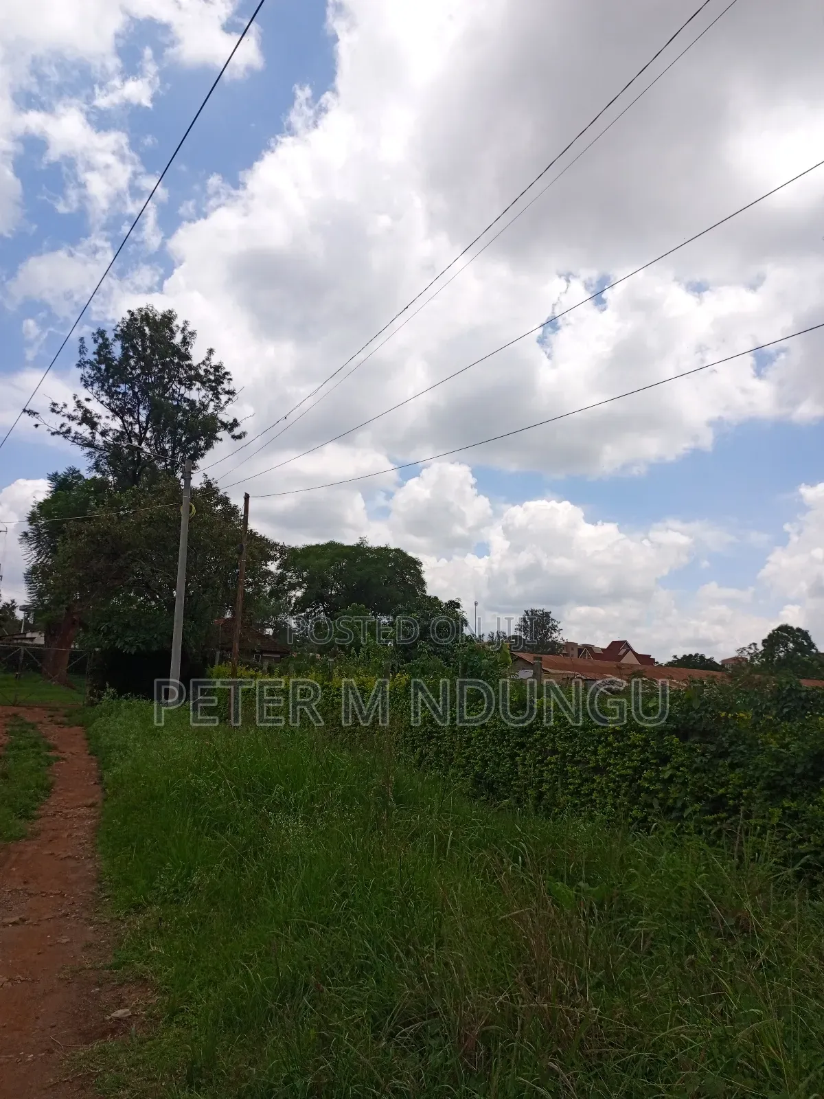 5.2-Acre Safari Park Land - Wildlife Haven Development in Nairobi South