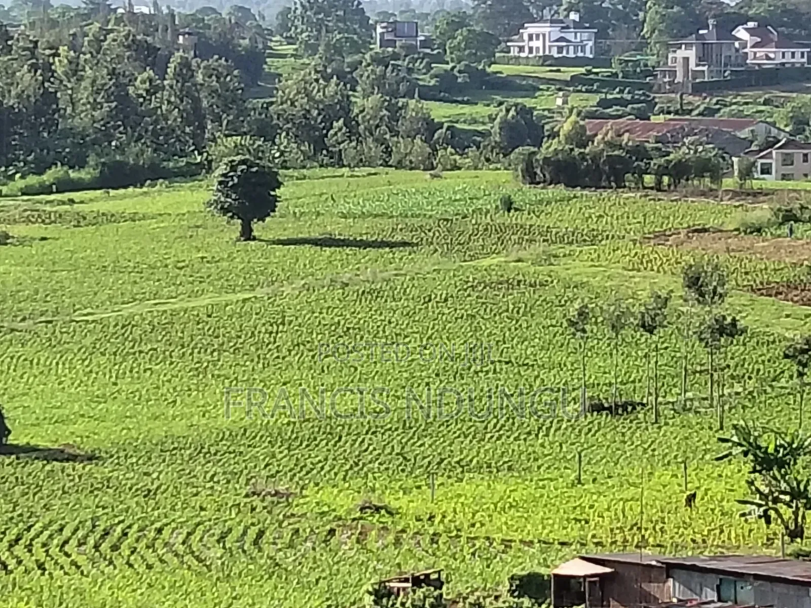 Residential Plot Anmer Next to Migaa Estate. in Tinganga