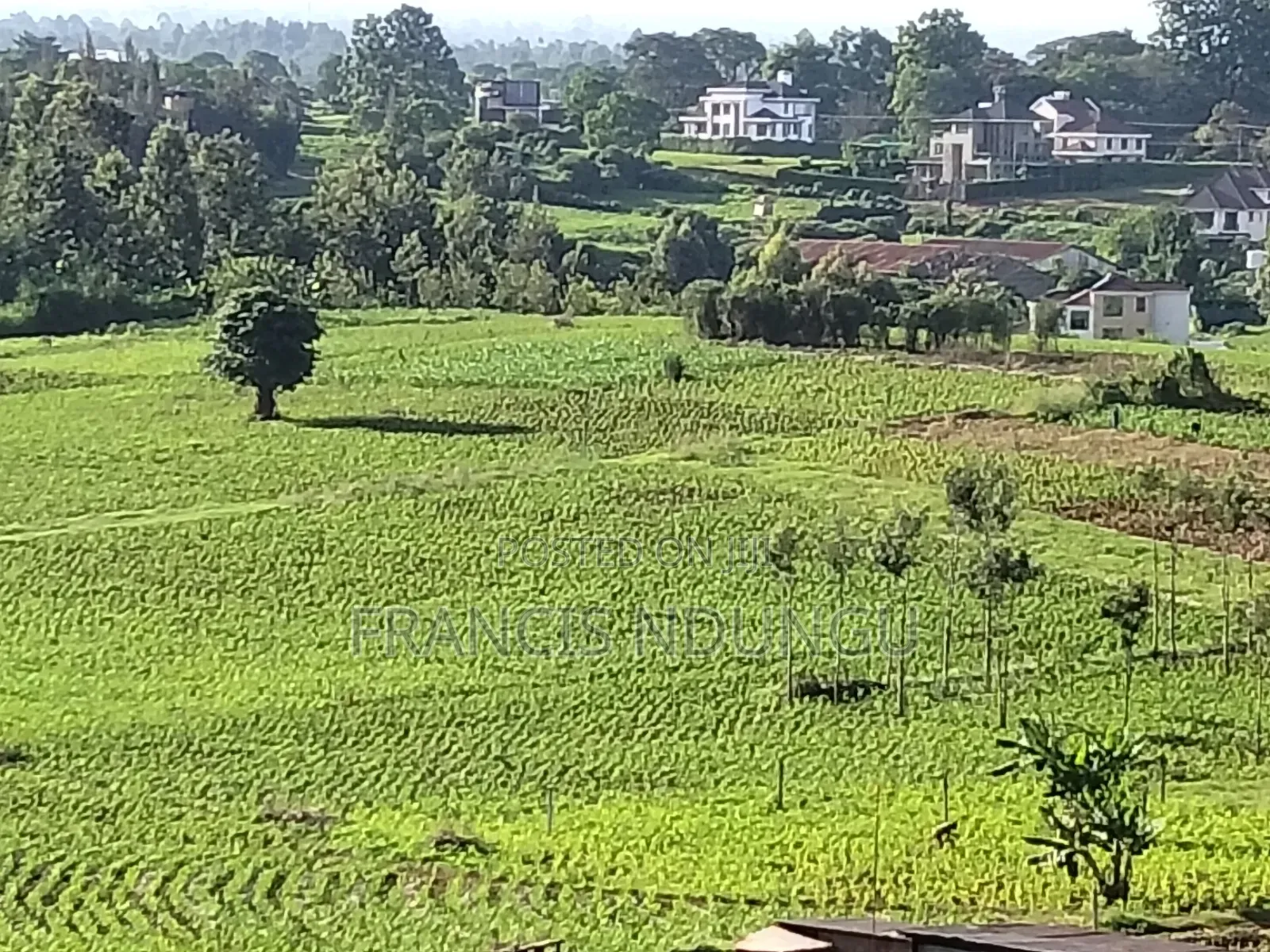 Residential Plot Anmer Next to Migaa Estate. in Tinganga
