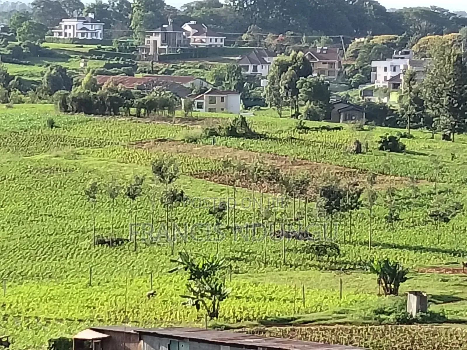 Residential Plot Anmer Next to Migaa Estate. in Tinganga