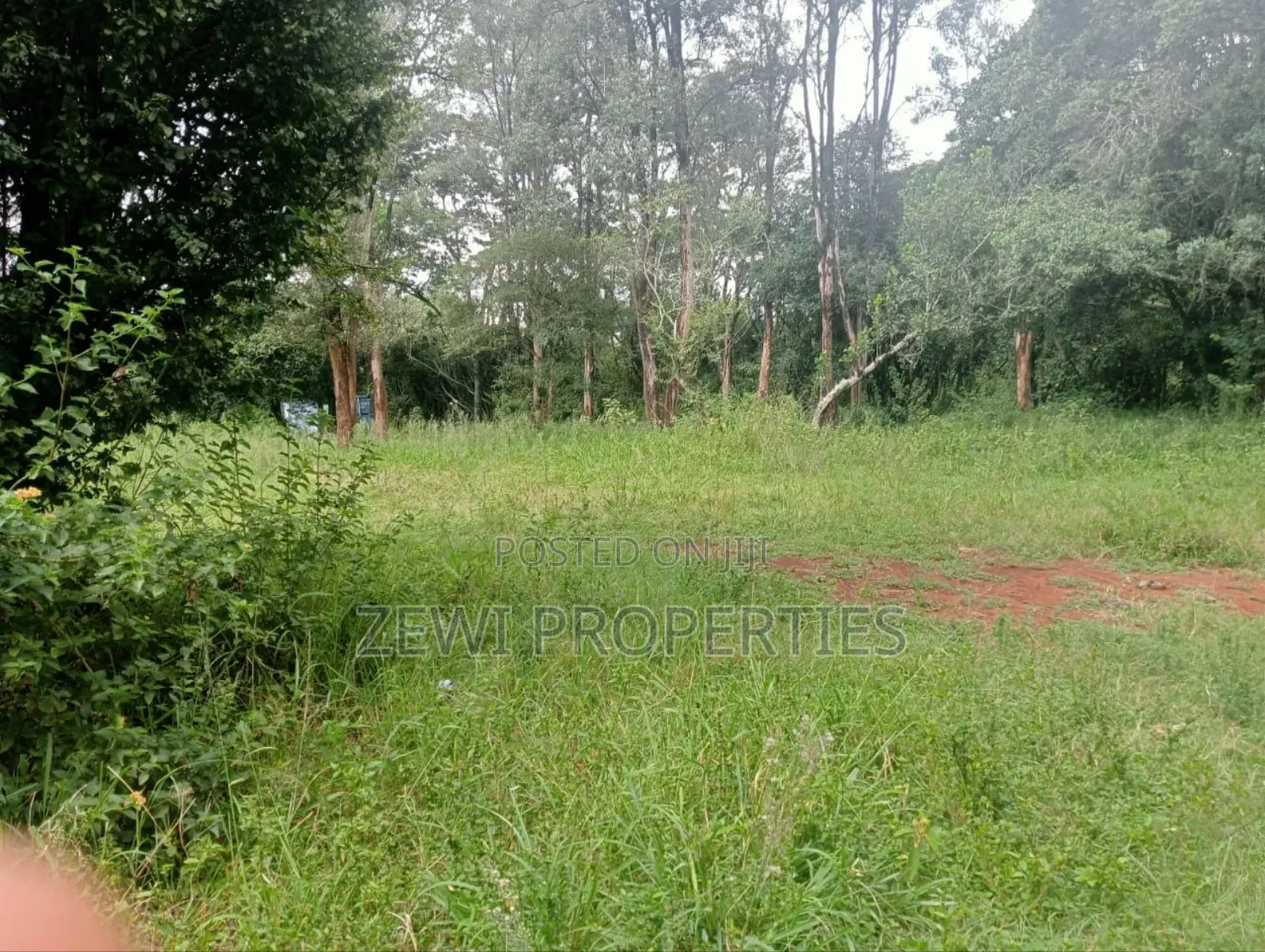 9 Acre Prime Hardy Karen in Hardy