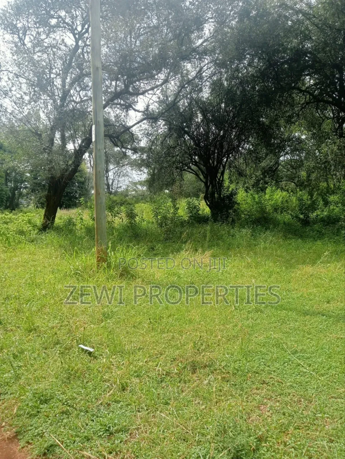 9 Acre Prime Hardy Karen in Hardy