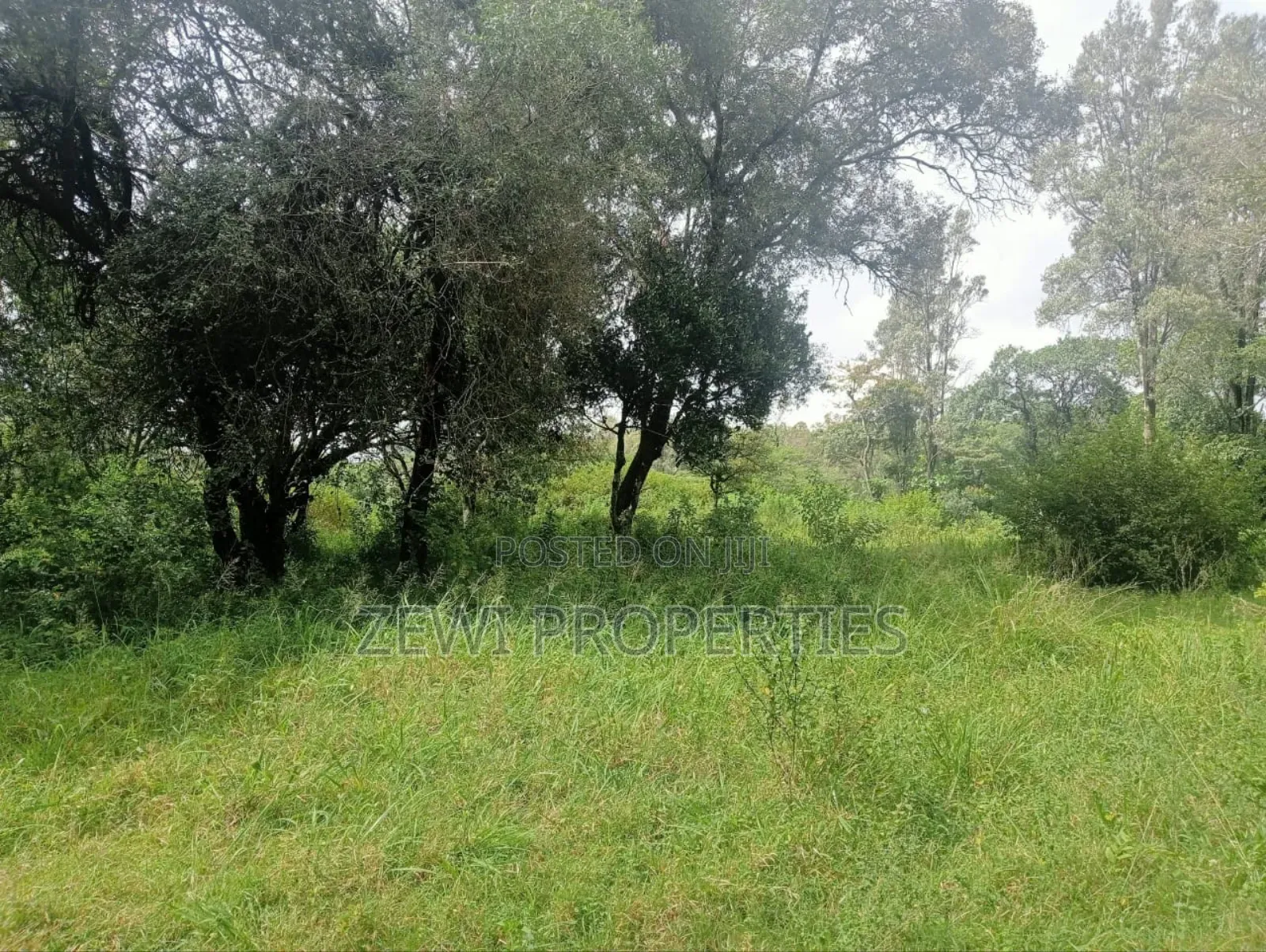 9 Acre Prime Hardy Karen in Hardy
