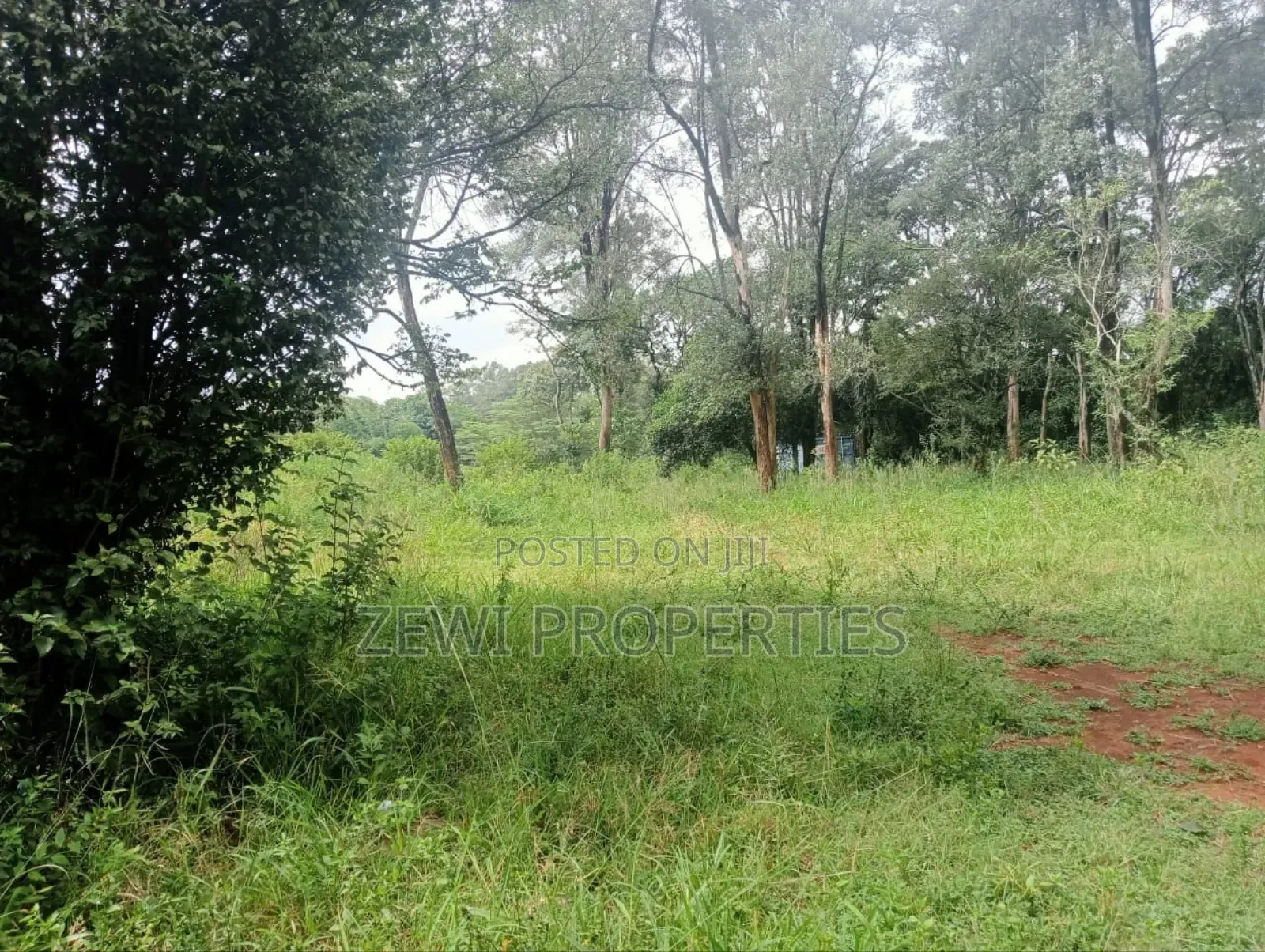 9 Acre Prime Hardy Karen in Hardy