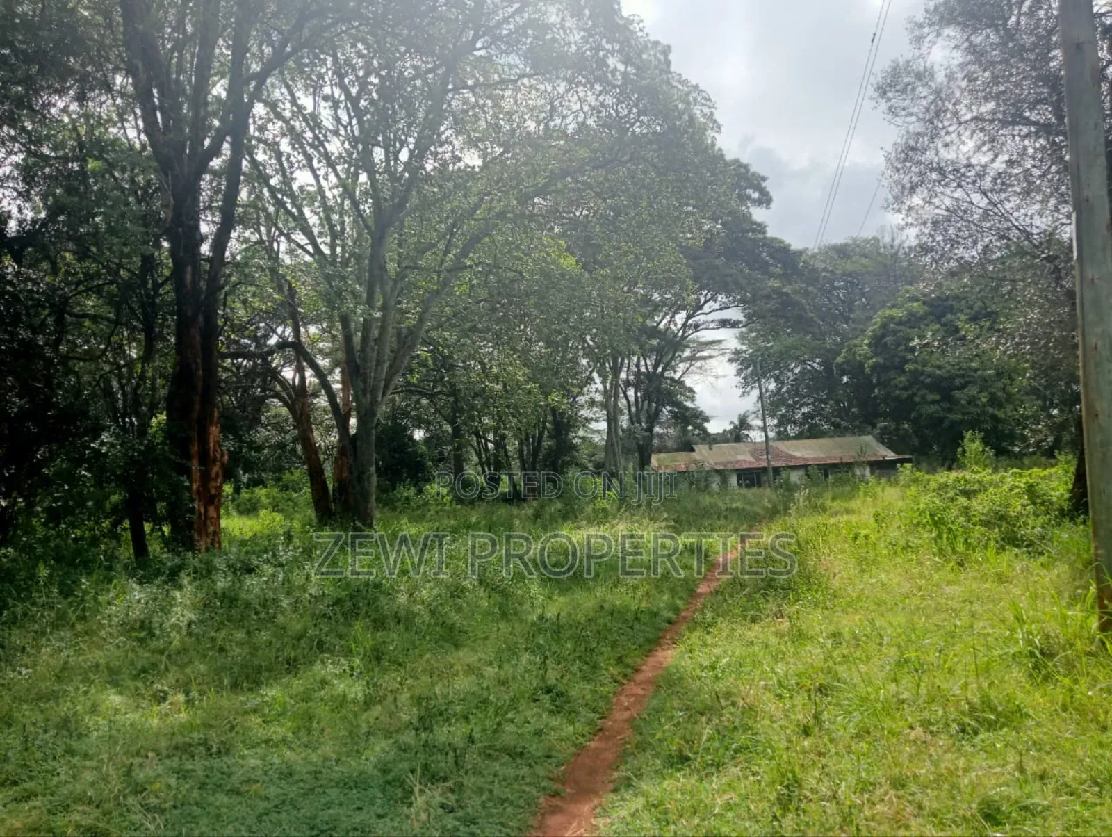 9 Acre Prime Hardy Karen in Hardy