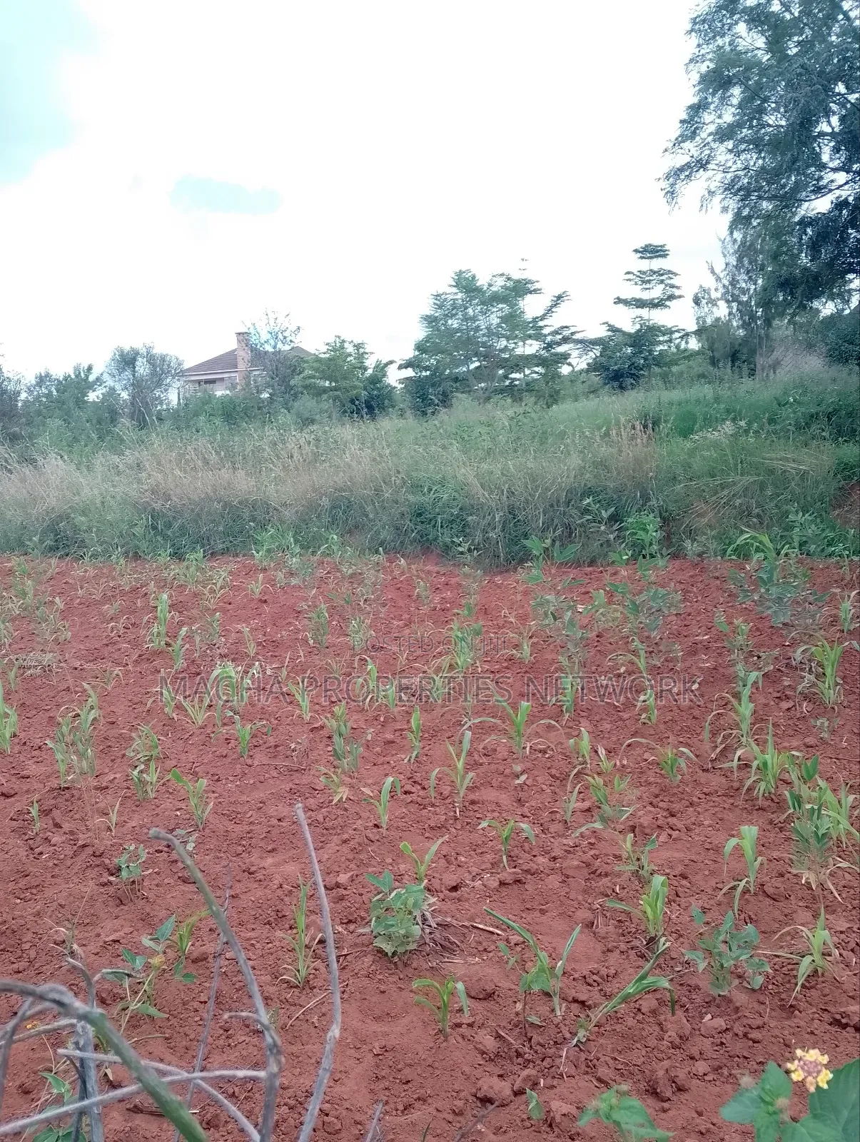 1/2 Acre on Machakos -Katheka Kai in Machakos Town