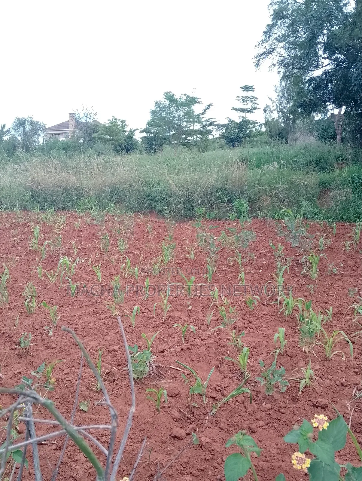 1/2 Acre on Machakos -Katheka Kai in Machakos Town