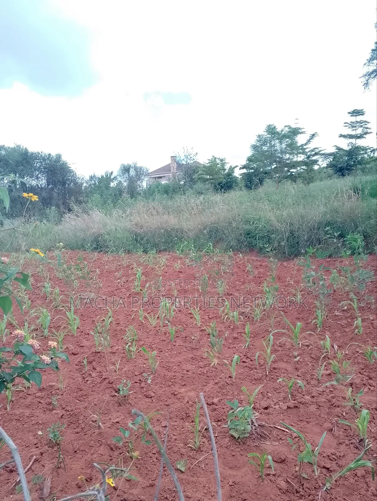 1/2 Acre on Machakos -Katheka Kai in Machakos Town