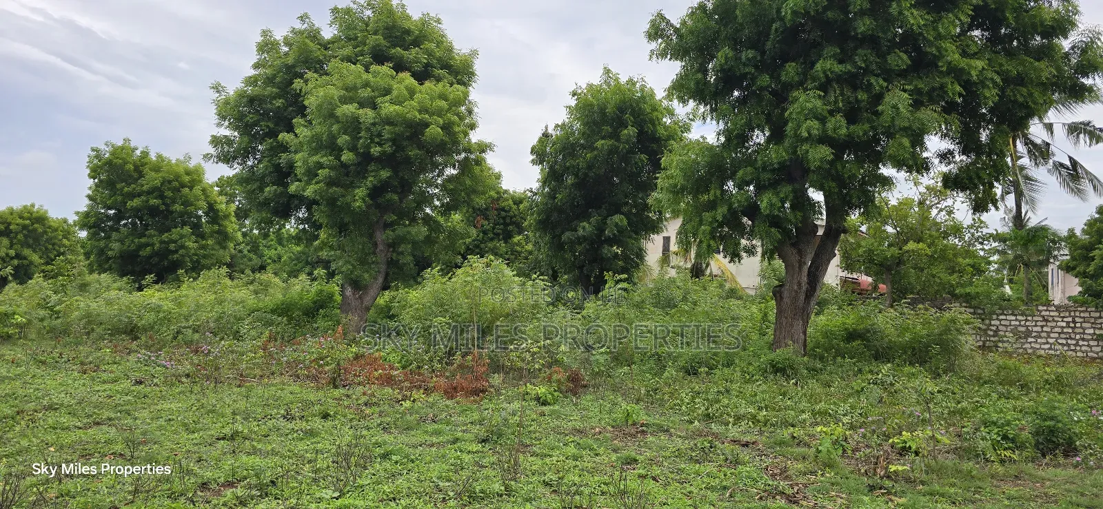 Mtwapa Jumba Ruins, 4.5 Acre Plot for Sale in Mtwapa
