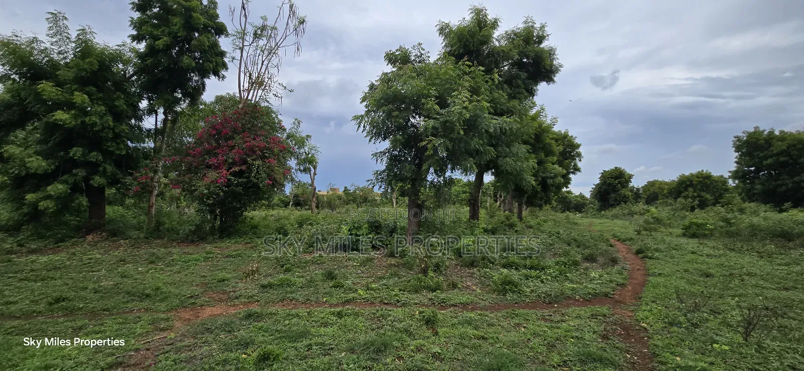 Mtwapa Jumba Ruins, 4.5 Acre Plot for Sale in Mtwapa
