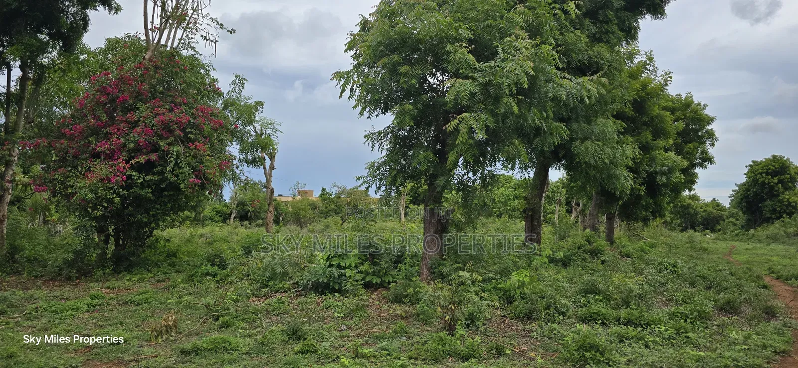 Mtwapa Jumba Ruins, 4.5 Acre Plot for Sale in Mtwapa