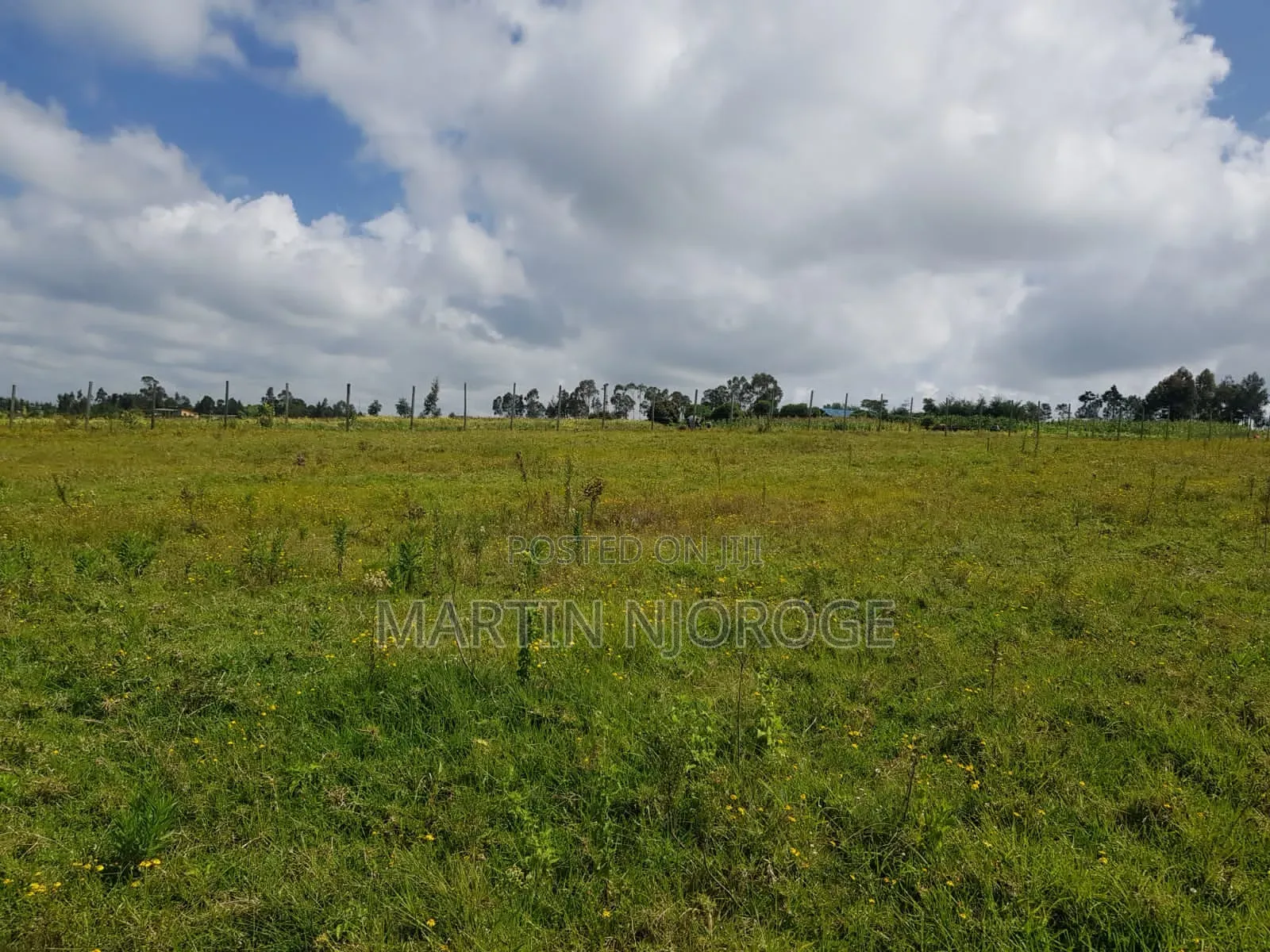 5 Acres Maai Mahiu in Mai Mahiu