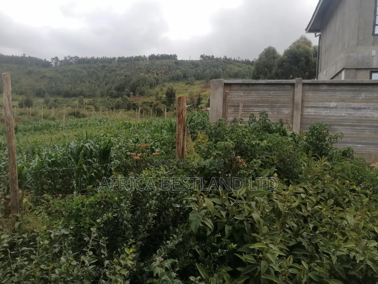 100x100 Plot for Sale in Kikuyu Thigio in Kikuyu