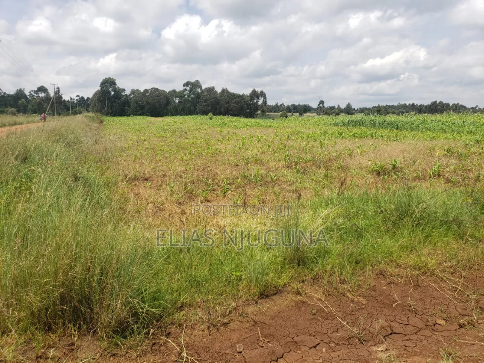 3acre Nyandarua Leshau( Nyahururu Nyeri Rd "Maili Nne" 1.08m in Leshau Pondo