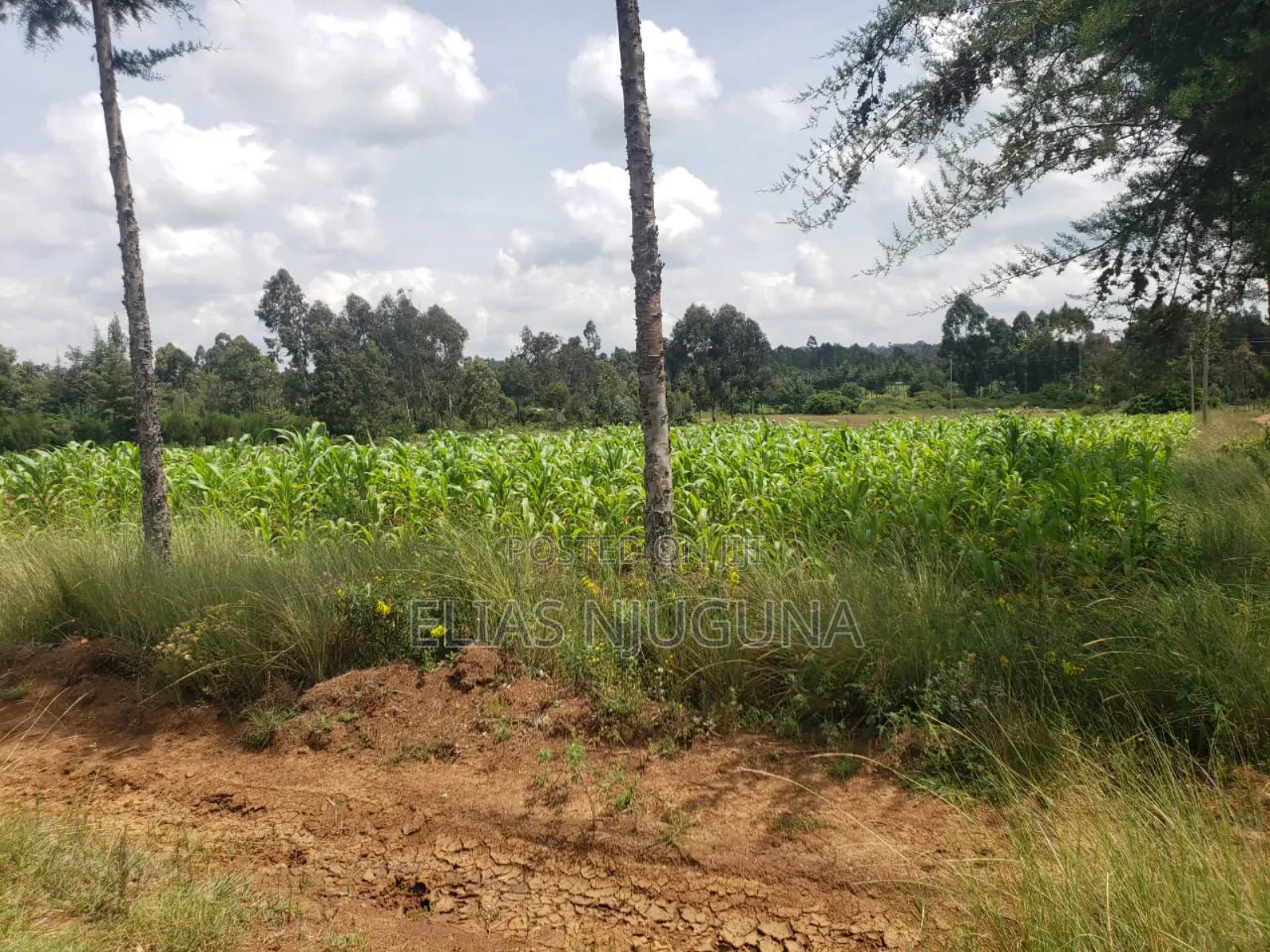 3acre Nyandarua Leshau( Nyahururu Nyeri Rd "Maili Nne" 1.08m in Leshau Pondo