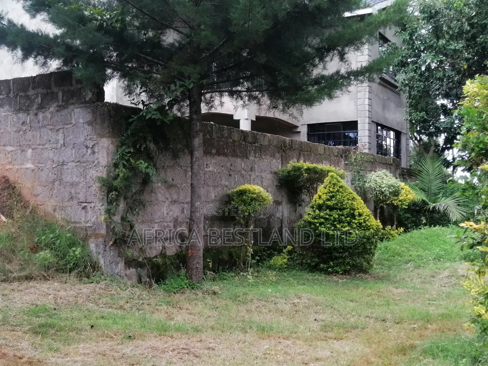 100x100 Residential Plot for Sale in Kikuyu Gikambura in Kikuyu