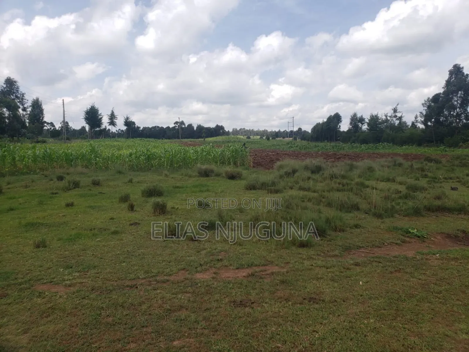 3acre Nyandarua Leshau( Nyahururu Nyeri Rd "Maili Nne" 1.08m in Leshau Pondo