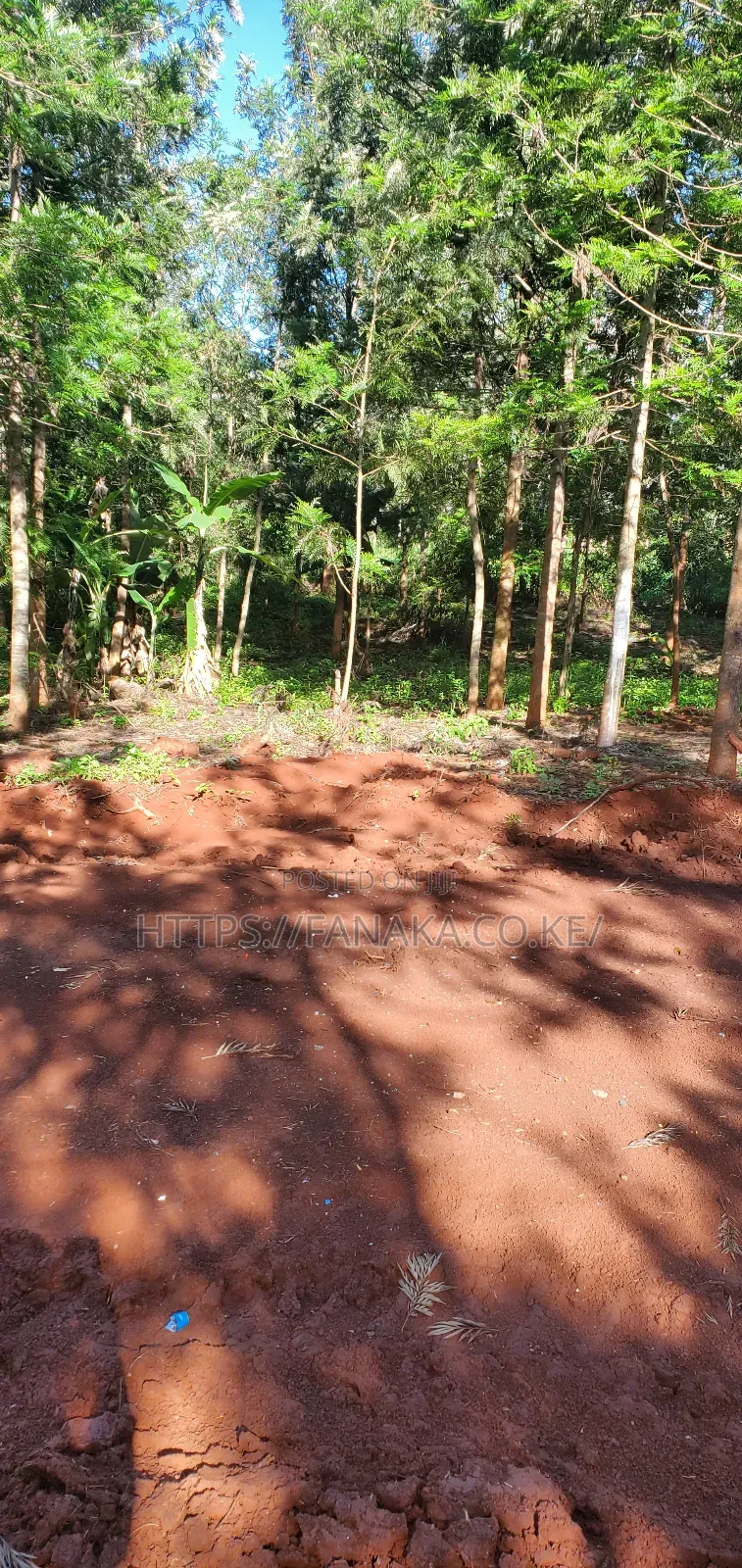 Residential Plots in Ruiru-Mugutha ^Pww in Ruiru