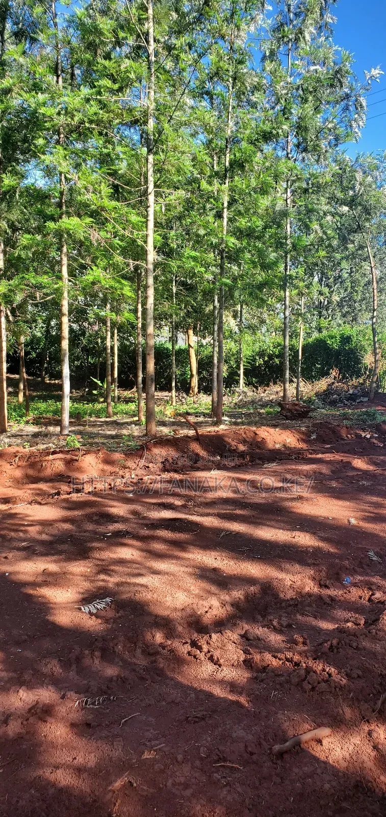 Residential Plots in Ruiru-Mugutha ^Pww in Ruiru