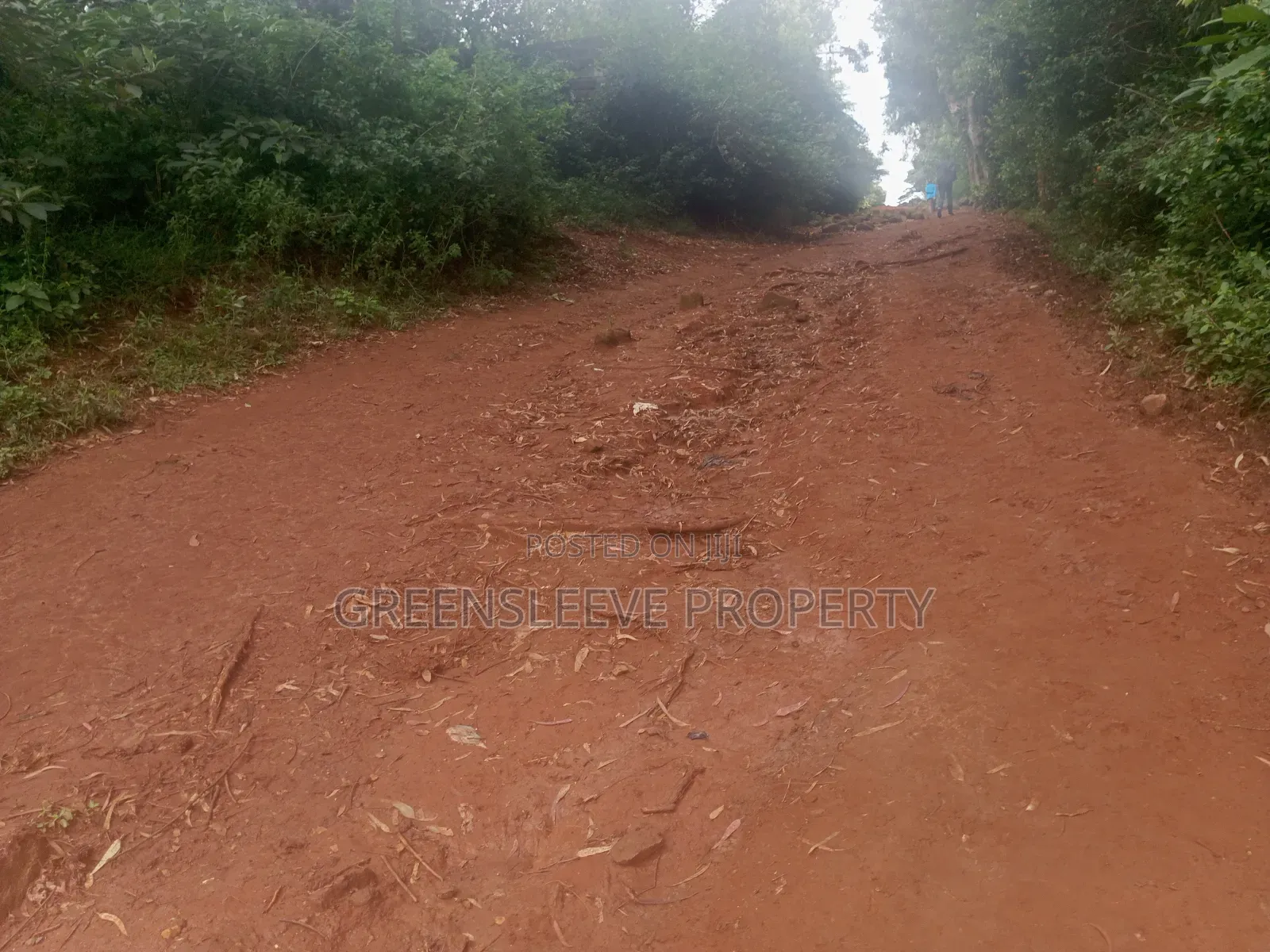 Land for Sale in Karen