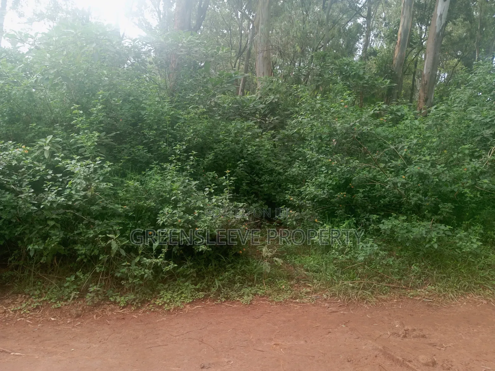 Land for Sale in Karen