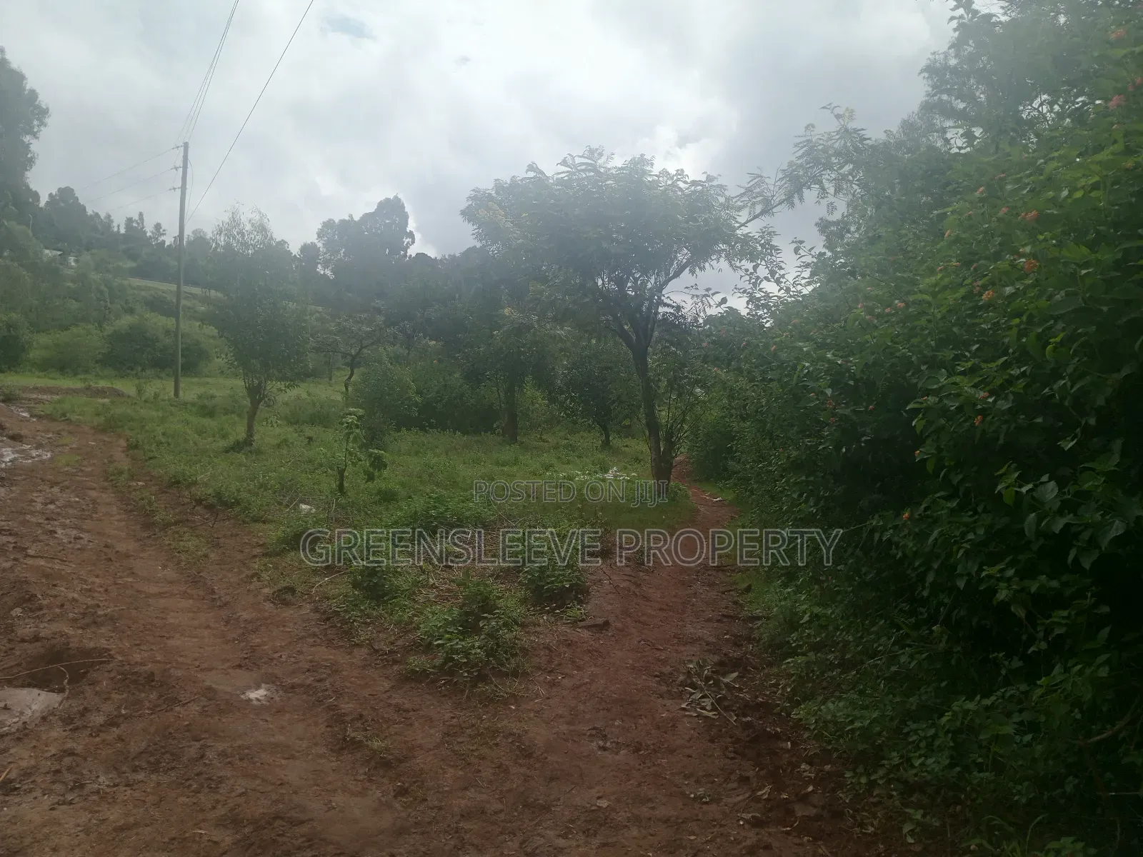 Land for Sale in Karen