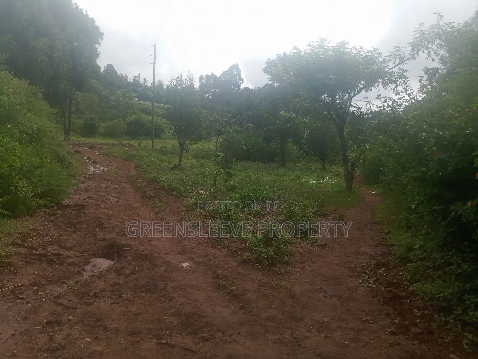 Land for Sale in Karen