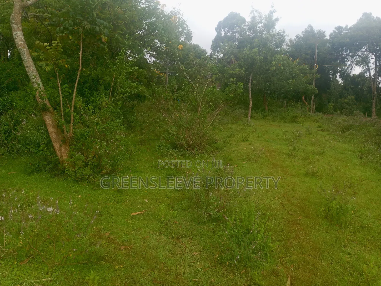 Land for Sale in Karen