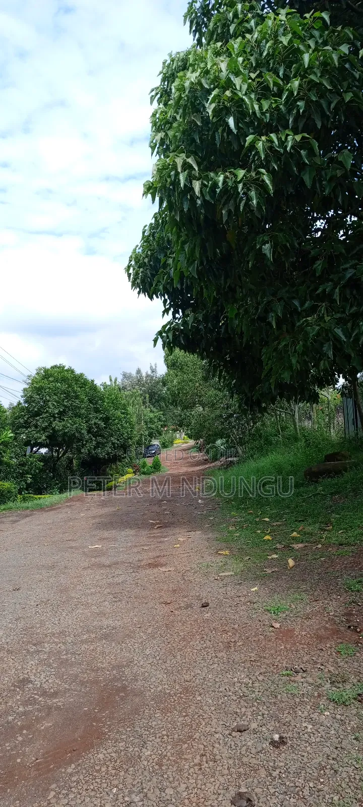 Prime Commercial Plot 1/2 Âcre, Riverside Estate Roosters in Nairobi Central