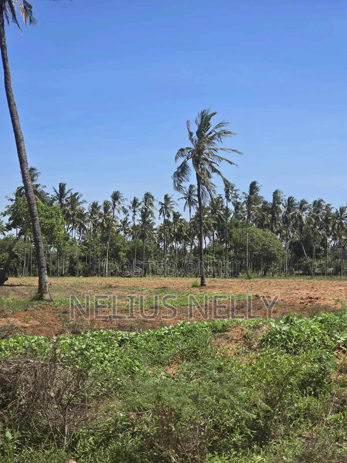 1acre Land for Sale Kilifi Tezo in Tezo