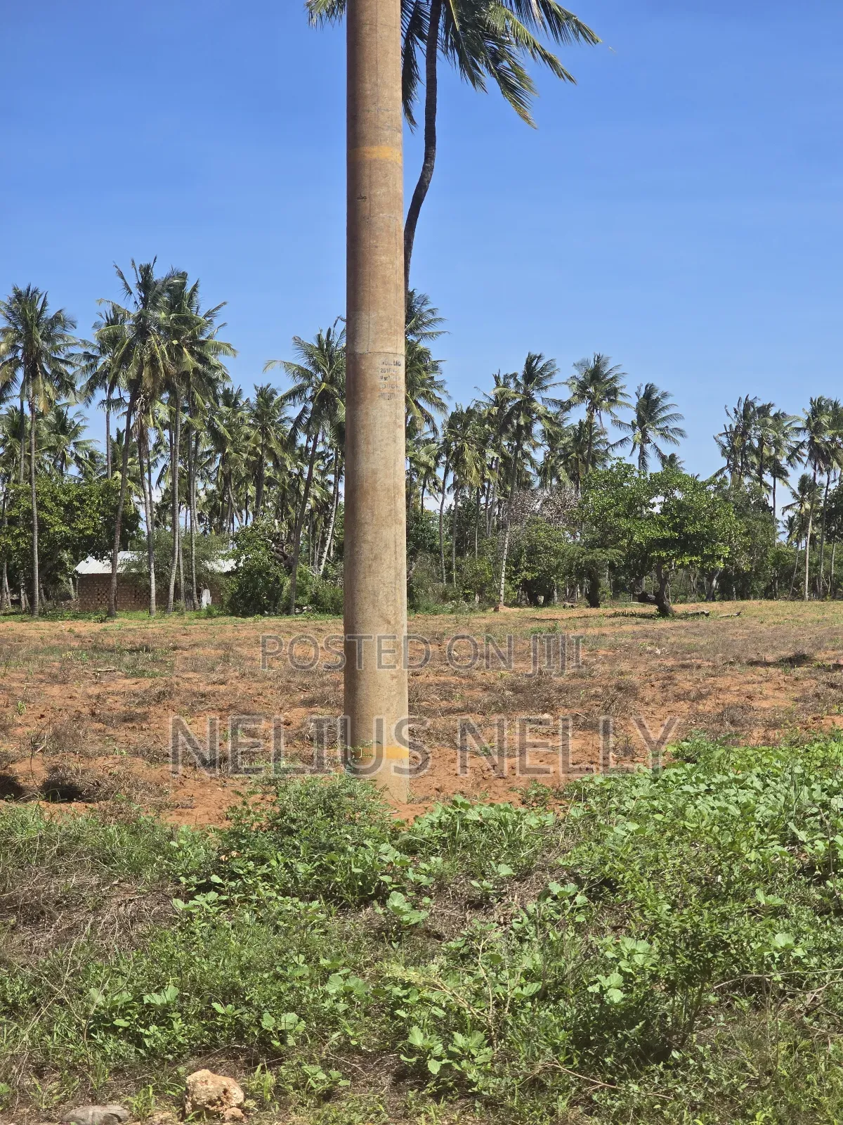 1acre Land for Sale Kilifi Tezo in Tezo