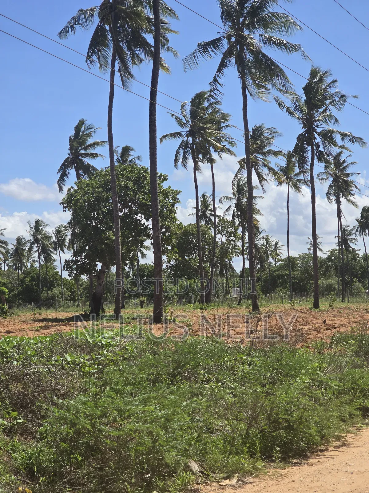 1acre Land for Sale Kilifi Tezo in Tezo