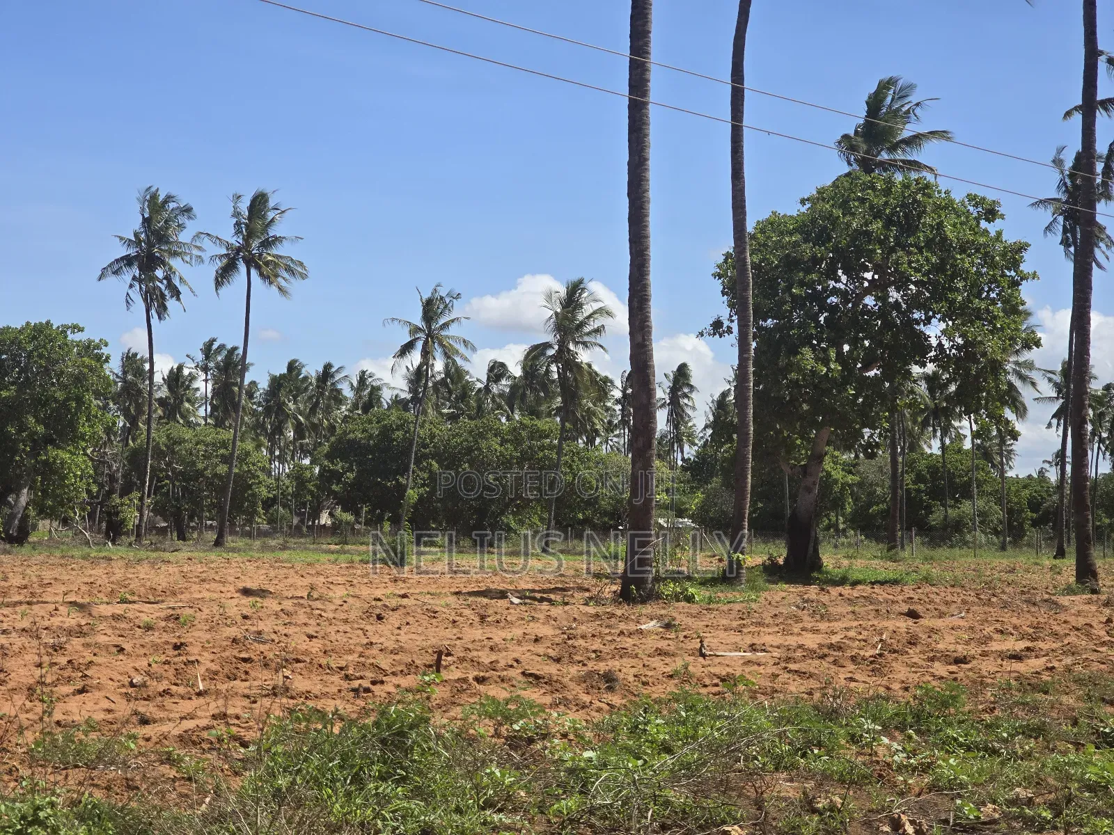 1acre Land for Sale Kilifi Tezo in Tezo
