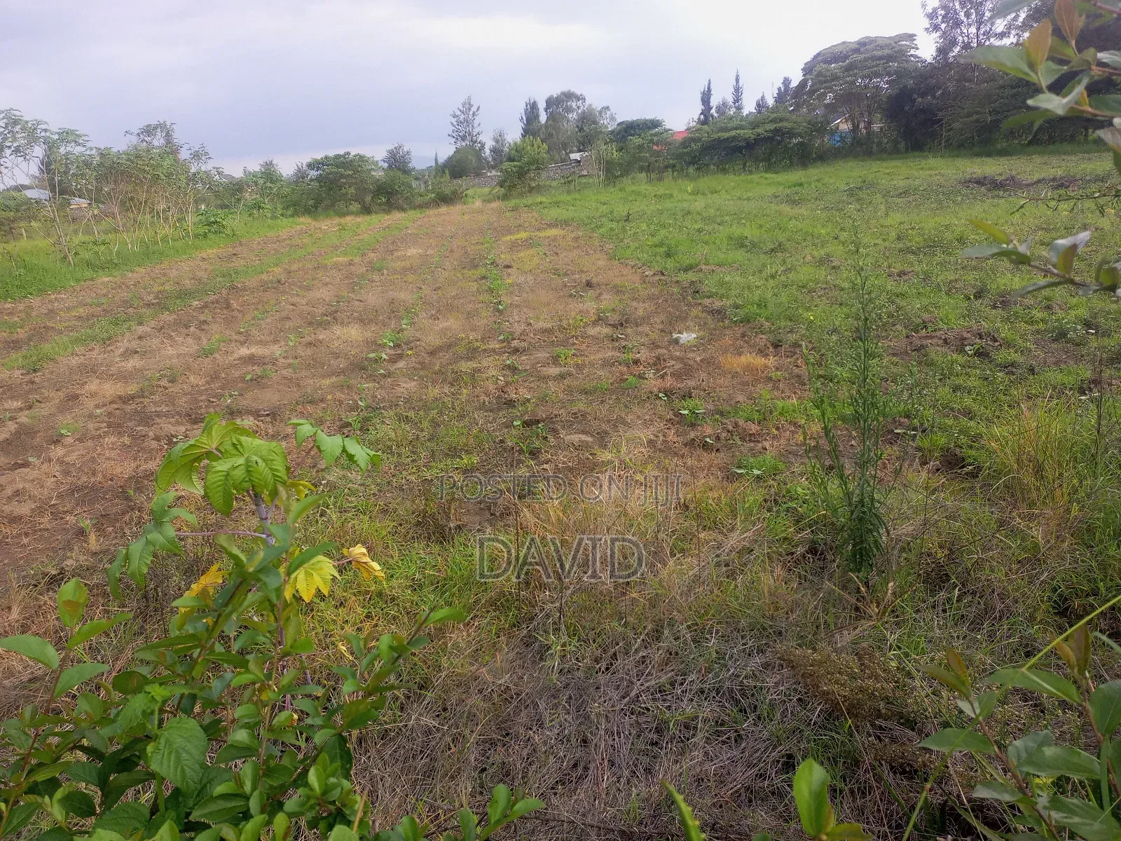 Land for Sale in Pema Estate One Acre in Nakuru Town East
