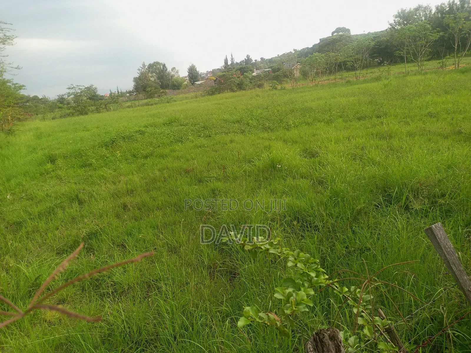 Land for Sale in Pema Estate One Acre in Nakuru Town East