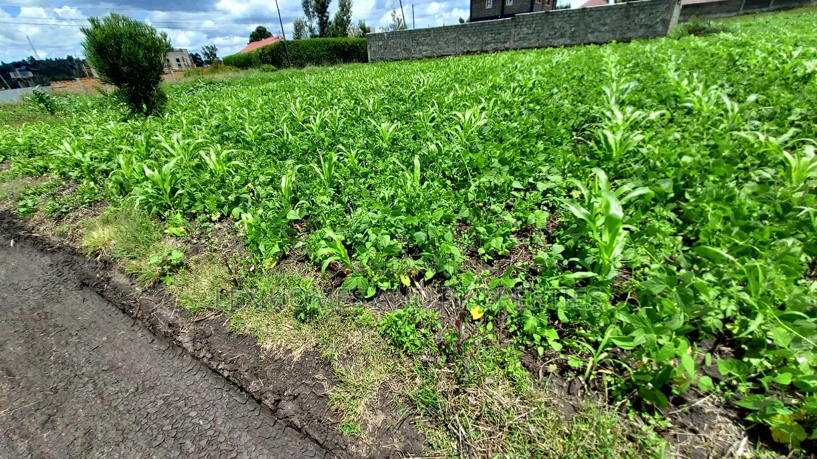 Eighth Plot for Sale at Kamura Area. in Ongata Rongai