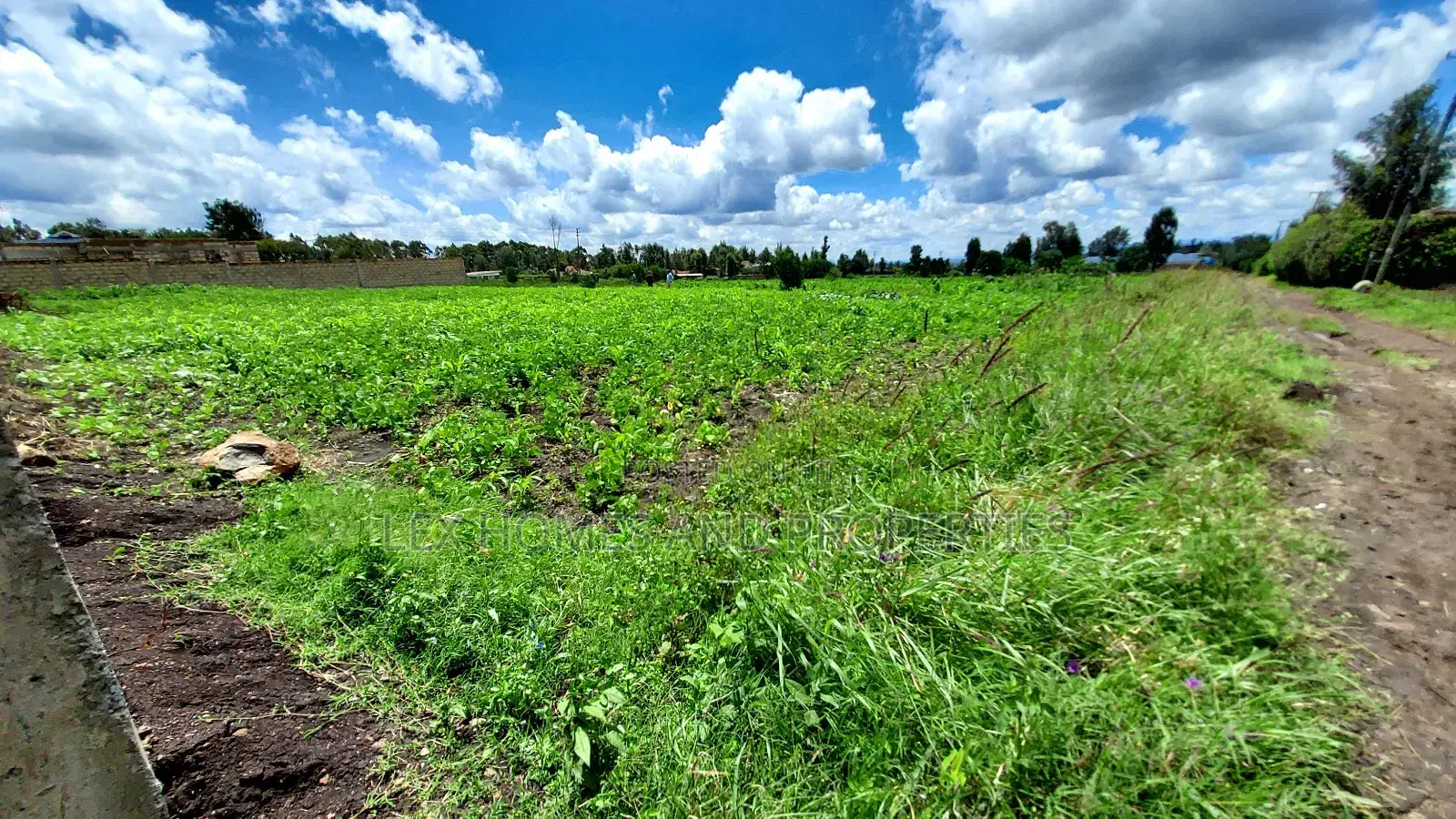Eighth Plot for Sale at Kamura Area. in Ongata Rongai