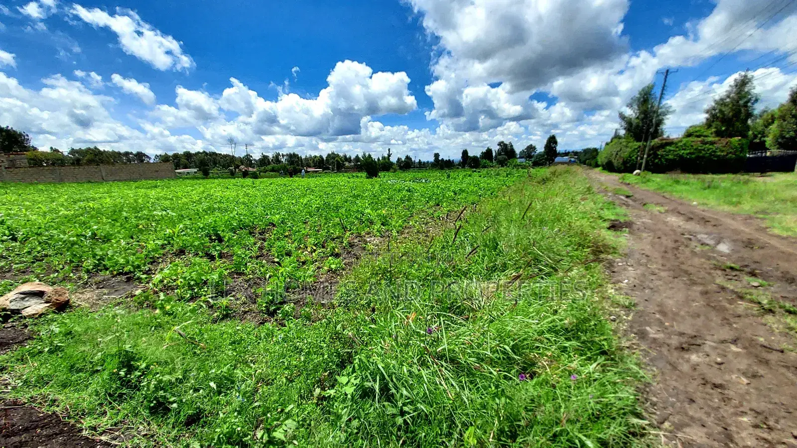 Eighth Plot for Sale at Kamura Area. in Ongata Rongai