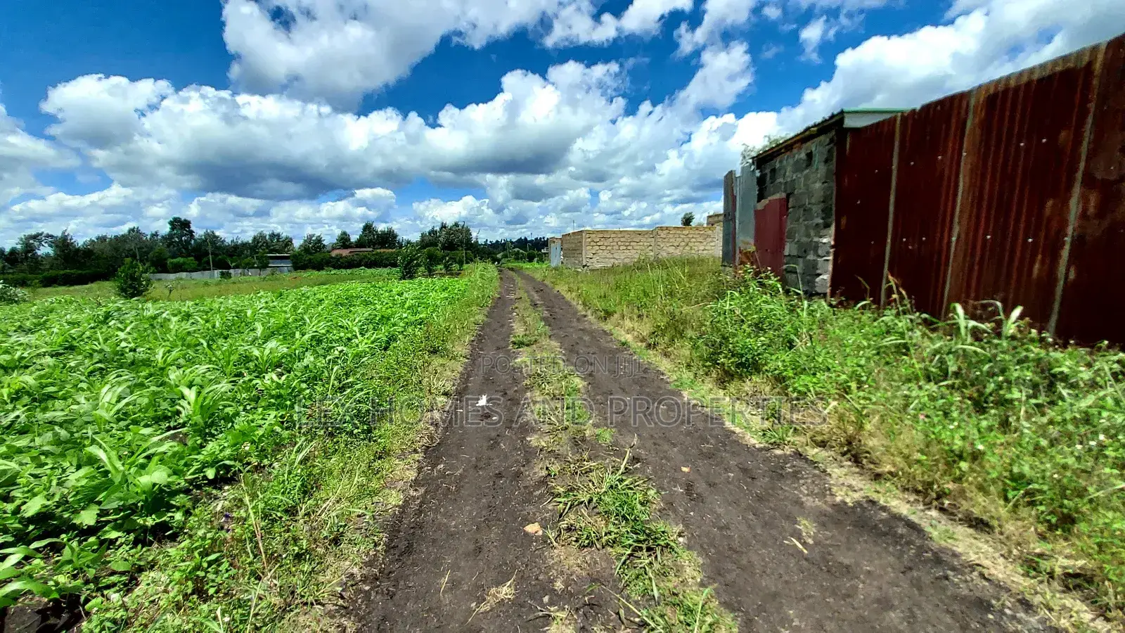 1/8 at Kamura Area for Only 3.8m in Ongata Rongai