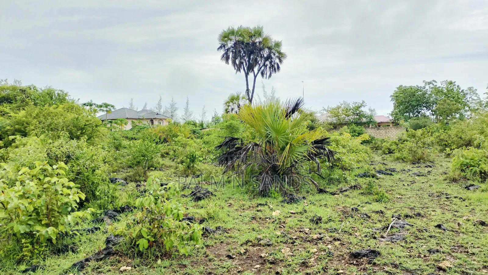 One Acre Prime Land in Kinondo for Sale!! At  in Kinondo