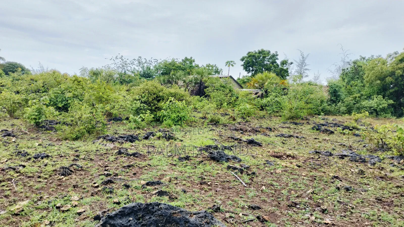 One Acre Prime Land in Kinondo for Sale!! At  in Kinondo