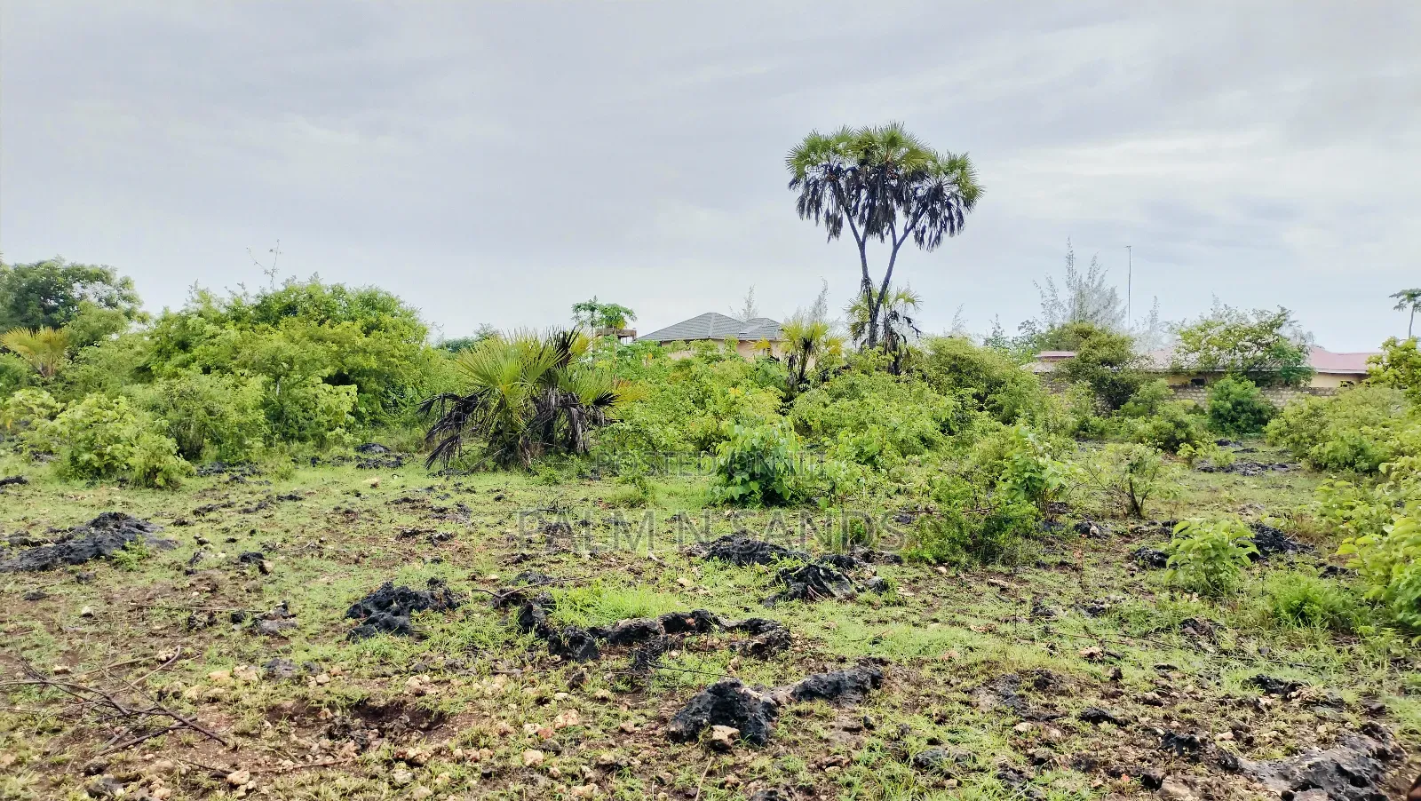 One Acre Prime Land in Kinondo for Sale!! At  in Kinondo