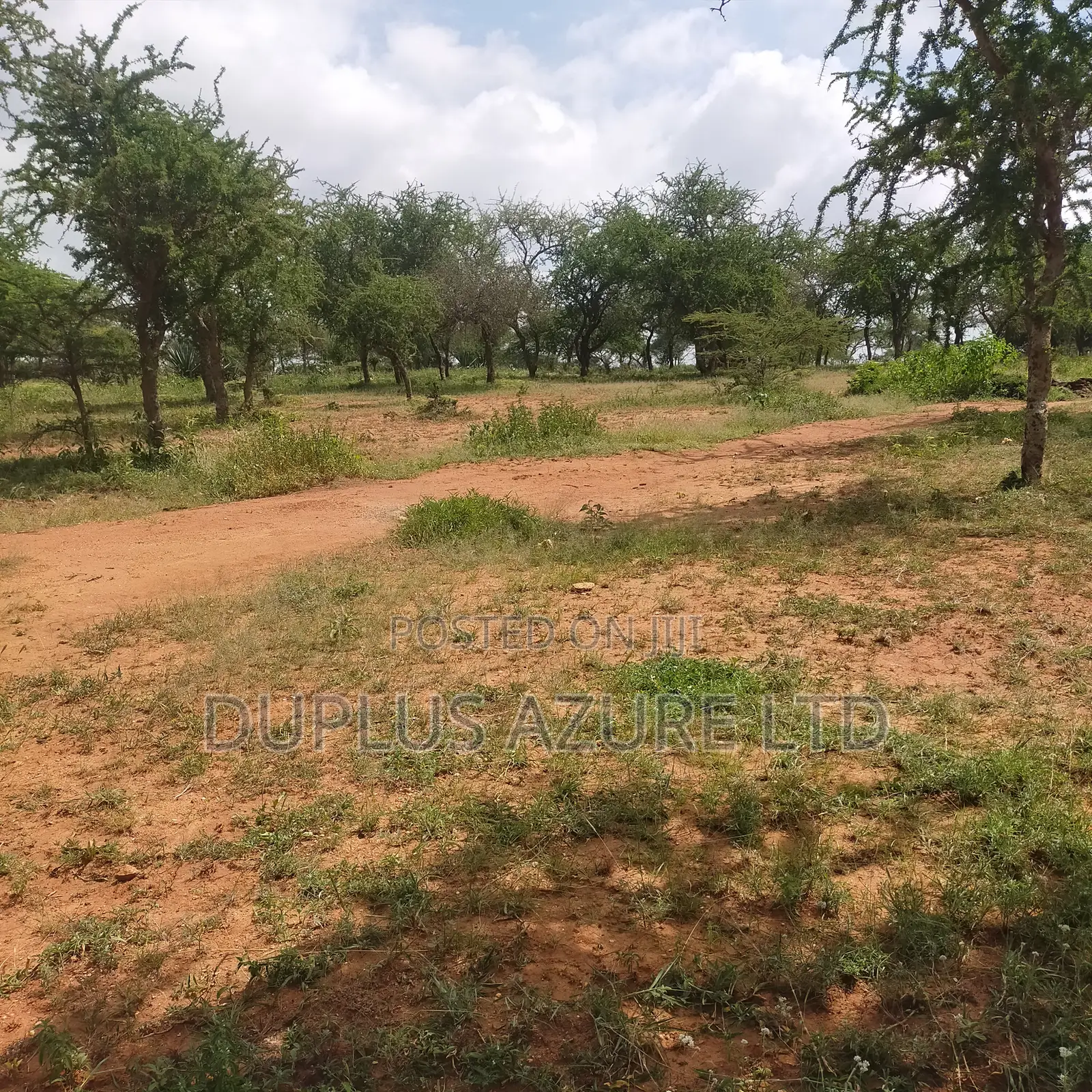 Invest in 2 Acres Land in Kajiado: Agriculture or Development Opportunity in DalaleKutuk