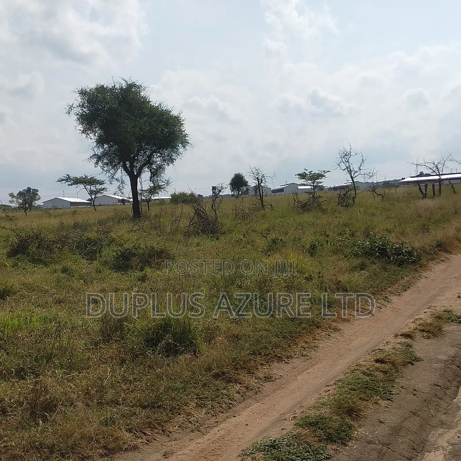 Invest in 2 Acres Land in Kajiado: Agriculture or Development Opportunity in DalaleKutuk