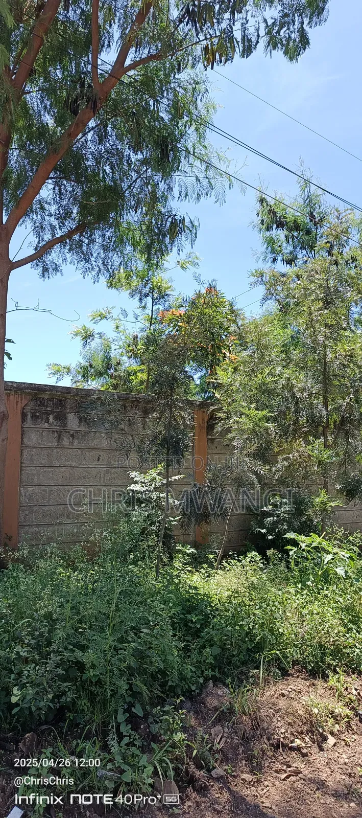 Clean Title in Kahawa Sukari